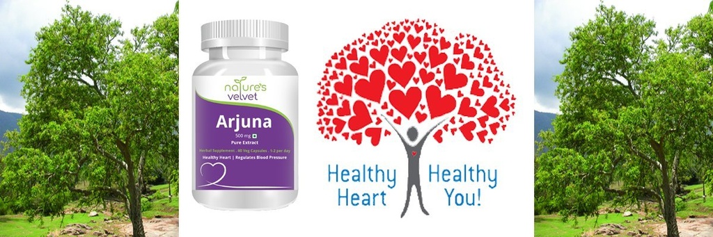 natures-velvet-lifecare-500-mg-arjuna-pu-71mpYIE7BML.jpg