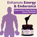 upakarma-shilajit-resin-with-ashwagandha-71ZylH79soL.jpg