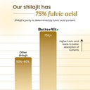 better-alt-shilajit-shilajeet-resin-20g--61OJeBwD5rL.jpg