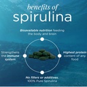 dayrix-spirulina-extract-tablets-500mg-71DQXc+de8L.jpg