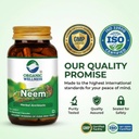 organic-wellness-neem-ayurvedic-capsules-61bxLdHxuML.jpg