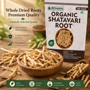 jeevamsha-shatavari-root-100g-organic-sa-71YUe6m+PML.jpg