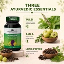 sonark-s-nisarga-herbs-respirade-60-tabl-71-2xPpeAkL.jpg
