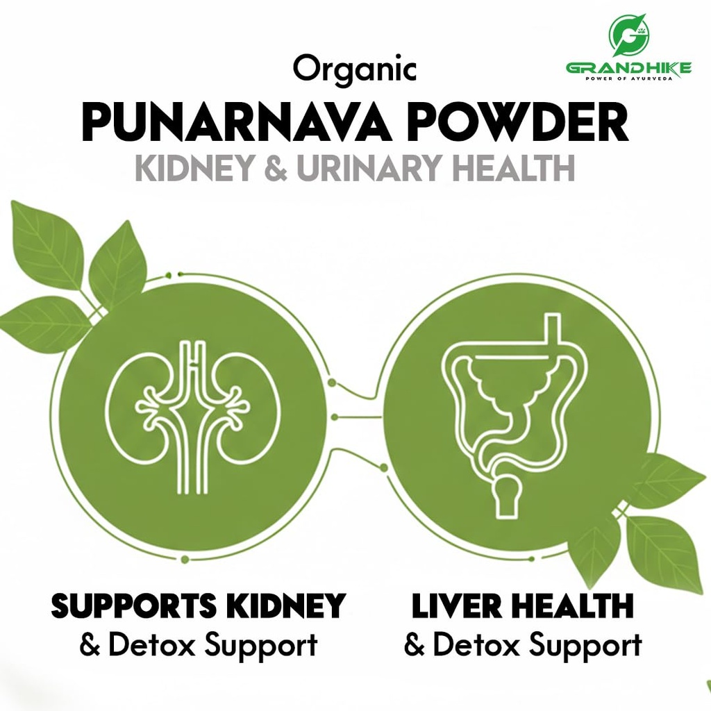 grandhike-organic-punarnava-powder-churn-61E8wWTqLjL.jpg
