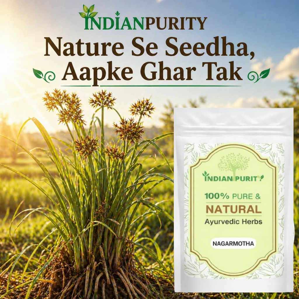indian-purity-100-pure-natural-nagarmoth-81t98kB+rPL.jpg