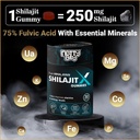nottyboy-pure-himalayan-shilajeet-gummie-71LILVns1-L.jpg