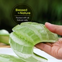 genericvills-natural-fresh-aloe-vera-lea-614JmManJlL.jpg