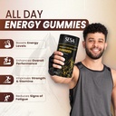 sesa-himalayan-shilajit-all-day-energy-g-9151LHjlexL.jpg