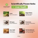 smartveda-liv-amrit-ayurvedic-supplement-71zktuKSeML.jpg