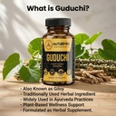 guduchi-capsules-180-veg-capsules-by-nat-81efDyi9EKL.jpg