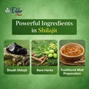 elder-s-shilajit-malt-i-for-energy-endur-71yoxfE2y6L.jpg