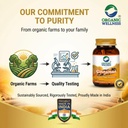 organic-wellness-cinnamon-capsules-for-a-61z0A1R1zxL.jpg