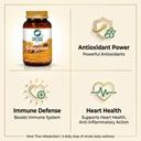 organic-wellness-cinnamon-capsules-for-a-61Gz0Vt3YxL.jpg