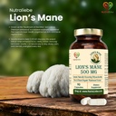 lion-s-mane-mushroom-extract-500-mg-heri-71zC5gt6QOL.jpg