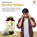 lion-s-mane-mushroom-extract-500-mg-heri-61vDoHenQcL.jpg