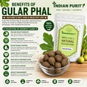 indianpurity-gular-phal-100-grams-pure-r-71N-AMT+wiL.jpg