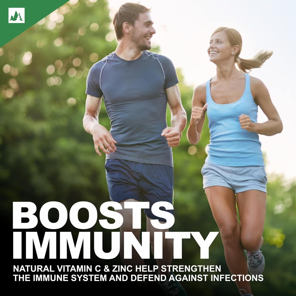 nutrition-natural-vitamin-c-from-amla-al-819L0aHJZdL.jpg