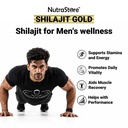 nutrastore-shilajit-gold-resin-20-gm-shi-71IdPbdr-JL.jpg