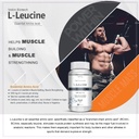 vokin-biotech-l-leucine-supports-muscle--71DAUJ4xdvL.jpg