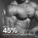 nutrabay-gold-micronized-creatine-monohy-81rB7VrgtVL.jpg