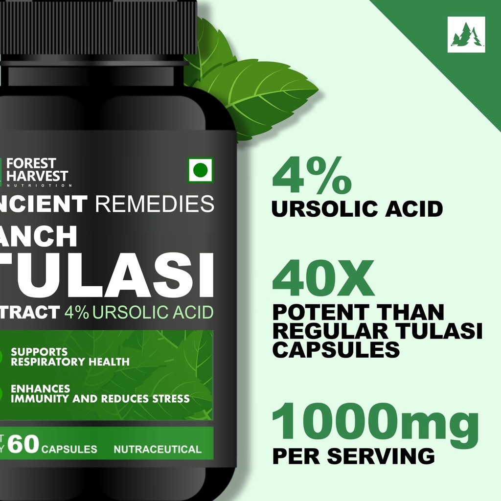 panch-tulasi-extract-4-ursolic-acid-with-81aQ95hKalL.jpg