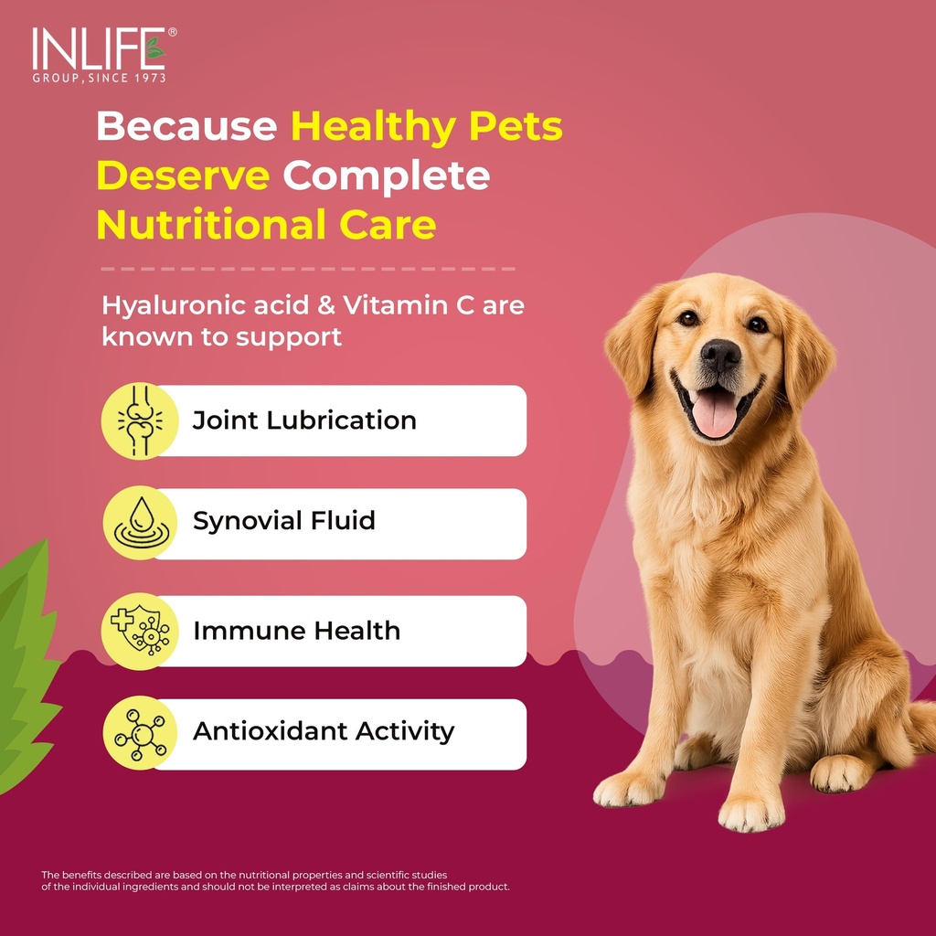 inlife-collagen-peptides-supplement-dogs-81g+d8JYUkL.jpg