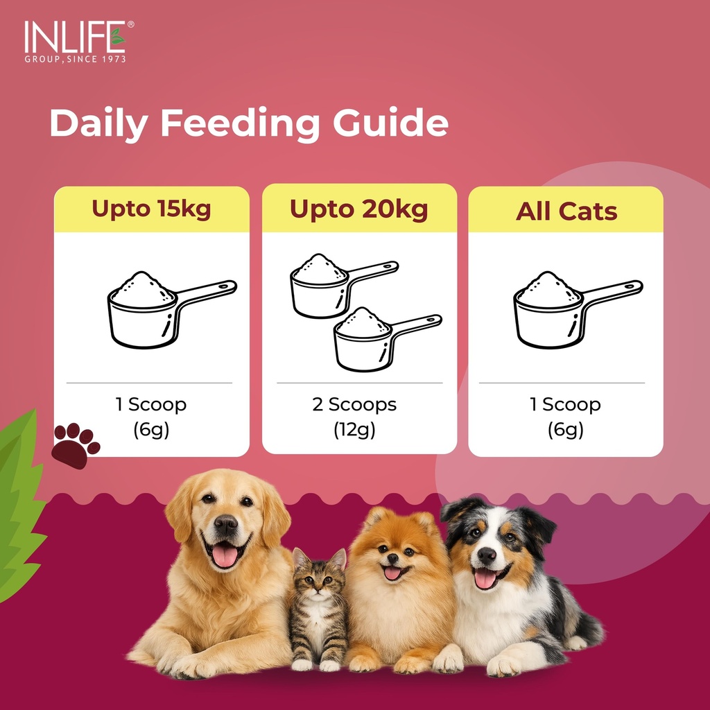 inlife-collagen-peptides-supplement-dogs-81Vmf53iriL.jpg