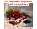 vital-life-vegan-omega-3-vegetarian-caps-71PbDFO3POL.jpg