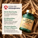 vahdam-ksm-66-ashwagandha-capsules-600mg-71U37ClZ4DL.jpg
