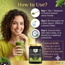 karela-jamun-diabetic-detox-powder-infus-81GxBeU-HvL.jpg