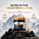 the-body-reserve-shilajit-for-men-certif-81xvQBHM7NL.jpg