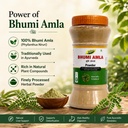 bhumi-amla-powder-churn-organic-and-pure-71CRinx0EyL.jpg