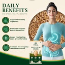 isabgol-psyllium-husk-powder-100g-natura-71aR-az19nL.jpg