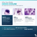 choline-bitartrate-650mg-eurofins-lab-te-81xwbyNfTtL.jpg