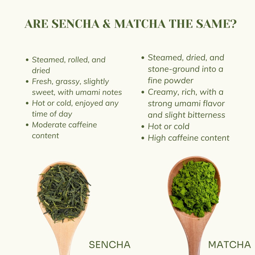 chiran-japanese-sencha-green-tea-loose-l-7185FBs8N7L.jpg