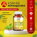 the-body-reserve-ashwagandha-ksm66-30-ca-710yOZP1I-L.jpg