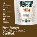 myherb-100-natural-organic-shatavari-pow-81f9tyzFSAL.jpg