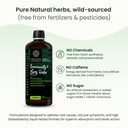 immunity-lung-detox-5-ayurvedic-herbs-li-81q1KpwA26L.jpg