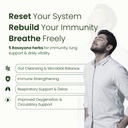 immunity-lung-detox-5-ayurvedic-herbs-li-71tJYWaEGIL.jpg
