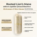rooted-lion-s-mane-mushroom-extract-caps-61AFJH7SQqL.jpg