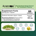 punarnava-500mg-60-veg-capsules-ayurvedi-71br33NPTRL.jpg