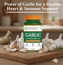 pure-nutrition-lahsun-garlic-supplement--51k-R9KB4GL.jpg