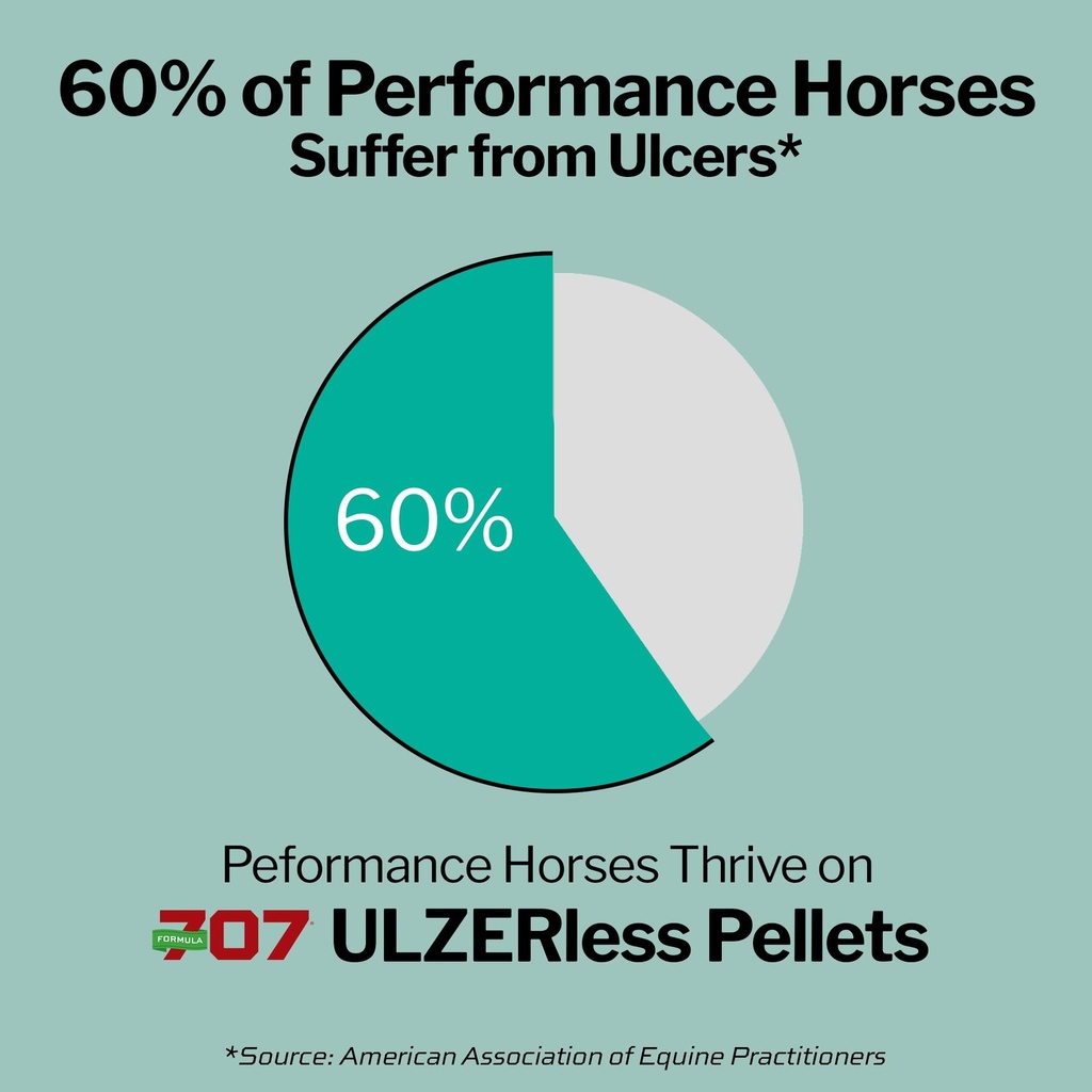 formula-707-ulzerless-equine-supplement--61BciE4D7HL.jpg
