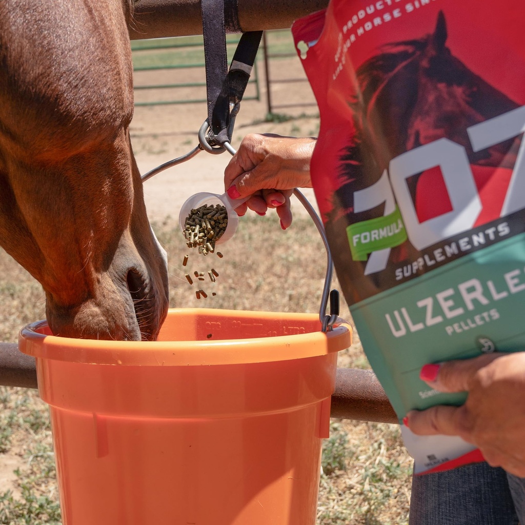 formula-707-ulzerless-equine-supplement--81ybVk7YW9L.jpg