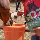 formula-707-ulzerless-equine-supplement--81ybVk7YW9L.jpg