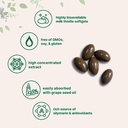micro-ingredients-milk-thistle-supplemen-711BPfR2dzL.jpg
