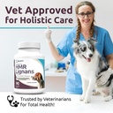 k9-select-hmr-lignans-for-dogs-enhancer--71lkvQs0rvL.jpg