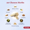 snap-dynasty-herbal-immune-support-suppl-71h1T2A473L.jpg