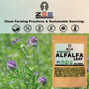zeeherbs-premium-alfalfa-leaf-4-oz-113g--8131s8ZfaHL.jpg