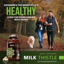 omnibiotics-organic-milk-thistle-supplem-819ewZkgr0L.jpg